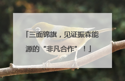 三面锦旗，见证振森能源的“非凡合作”！