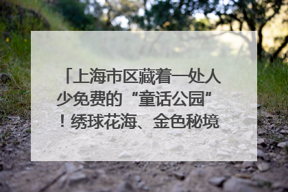 上海市区藏着一处人少免费的“童话公园”！绣球花海、金色秘境……地铁直达→