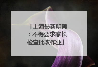 上海最新明确：不得要求家长检查批改作业