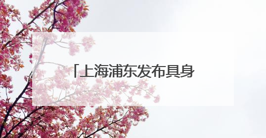 上海浦东发布具身智能产业支持16条政策：单个项目支持额度最高可达亿级