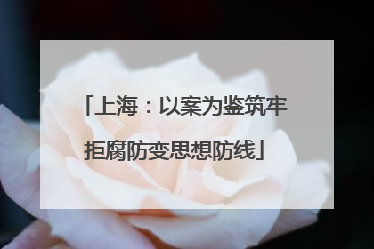 上海：以案为鉴筑牢拒腐防变思想防线