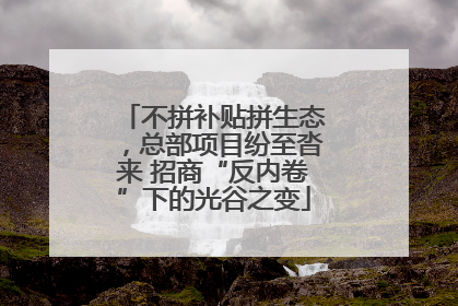 不拼补贴拼生态，总部项目纷至沓来 招商“反内卷”下的光谷之变