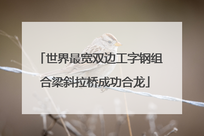 世界最宽双边工字钢组合梁斜拉桥成功合龙