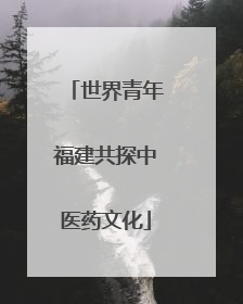 世界青年福建共探中医药文化