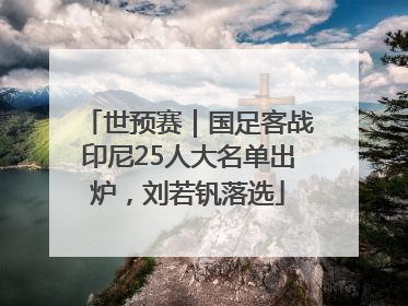 世预赛｜国足客战印尼25人大名单出炉，刘若钒落选