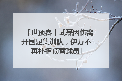 世预赛｜武磊因伤离开国足集训队，伊万不再补招顶替球员