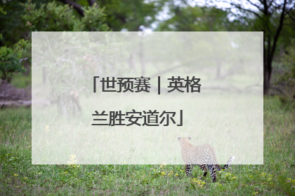 世预赛｜英格兰胜安道尔