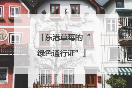 东港草莓的“绿色通行证”