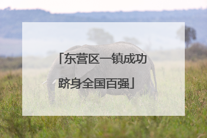 东营区一镇成功跻身全国百强