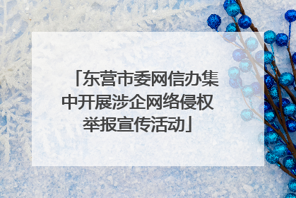东营市委网信办集中开展涉企网络侵权举报宣传活动