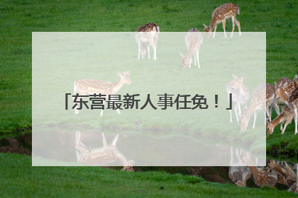 东营最新人事任免！