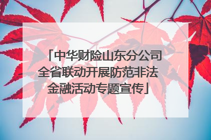 中华财险山东分公司全省联动开展防范非法金融活动专题宣传