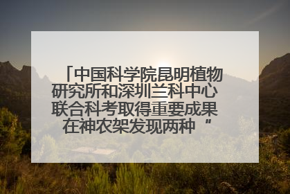 中国科学院昆明植物研究所和深圳兰科中心联合科考取得重要成果 在神农架发现两种“国保”级兰花