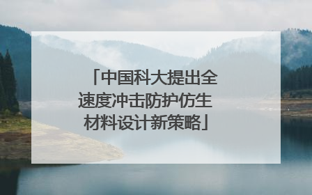 中国科大提出全速度冲击防护仿生材料设计新策略
