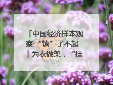 中国经济样本观察·“镇”了不起｜为衣做架，“挂”出来的80亿元“衣架产业”