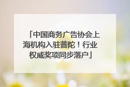 中国商务广告协会上海机构入驻普陀！行业权威奖项同步落户