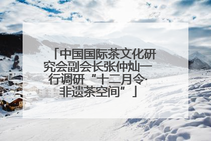 中国国际茶文化研究会副会长张仲灿一行调研“十二月令·非遗茶空间”