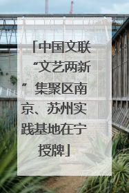 中国文联“文艺两新”集聚区南京、苏州实践基地在宁授牌