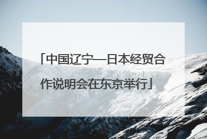 中国辽宁—日本经贸合作说明会在东京举行