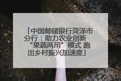 中国邮储银行菏泽市分行：助力农业创新 “果蔬两用”模式 跑出乡村振兴加速度