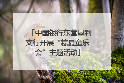 中国银行东营垦利支行开展“粽夏童乐会”主题活动