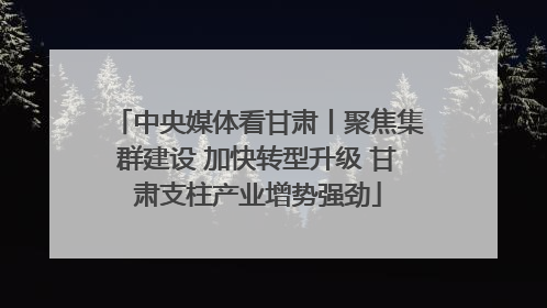 中央媒体看甘肃丨聚焦集群建设 加快转型升级 甘肃支柱产业增势强劲