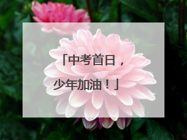 中考首日，少年加油！