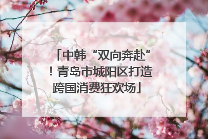 中韩“双向奔赴”！青岛市城阳区打造跨国消费狂欢场