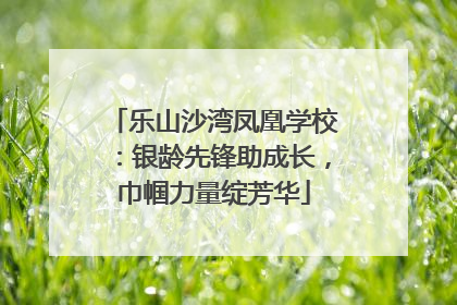 乐山沙湾凤凰学校：银龄先锋助成长，巾帼力量绽芳华