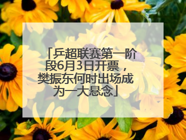 乒超联赛第一阶段6月3日开票，樊振东何时出场成为一大悬念