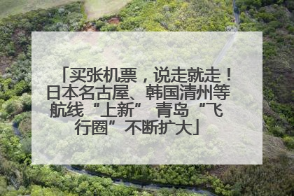 买张机票，说走就走！日本名古屋、韩国清州等航线“上新” 青岛“飞行圈”不断扩大
