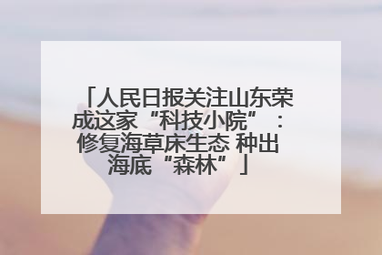 人民日报关注山东荣成这家“科技小院”：修复海草床生态 种出海底“森林”