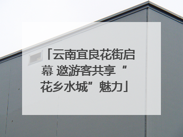云南宜良花街启幕 邀游客共享“花乡水城”魅力