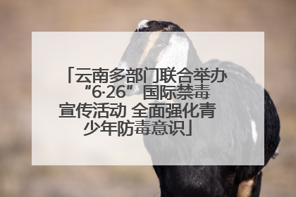 云南多部门联合举办“6·26”国际禁毒宣传活动 全面强化青少年防毒意识