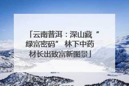 云南普洱：深山藏“绿富密码” 林下中药材长出致富新图景