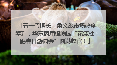 五一假期长三角文旅市场热度攀升，华东药用植物园“花漾杜鹃春日游园会”圆满收官！