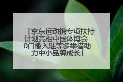 京东运动携专项扶持计划亮相中国体博会 0门槛入驻等多举措助力中小品牌成长