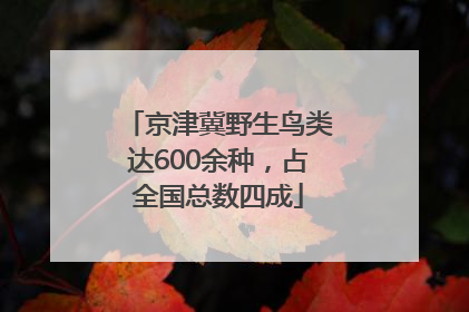 京津冀野生鸟类达600余种，占全国总数四成