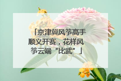 京津冀风筝高手顺义开赛，花样风筝云端“比武”