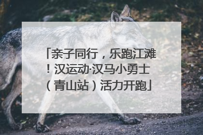 亲子同行，乐跑江滩！汉运动·汉马小勇士（青山站）活力开跑