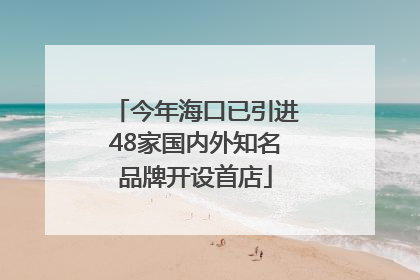 今年海口已引进48家国内外知名品牌开设首店