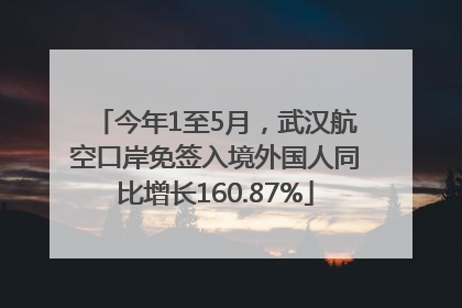 今年1至5月，武汉航空口岸免签入境外国人同比增长160.87%