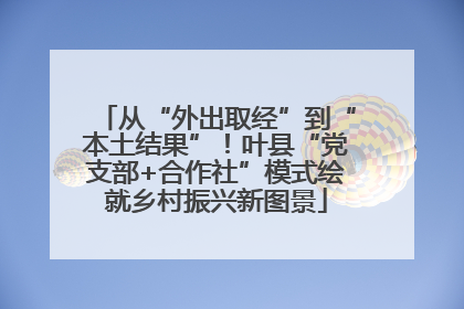 从“外出取经”到“本土结果”！叶县“党支部+合作社”模式绘就乡村振兴新图景
