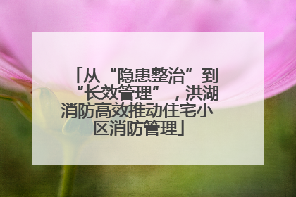 从“隐患整治”到“长效管理”，洪湖消防高效推动住宅小区消防管理