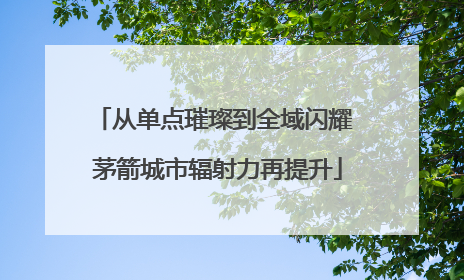 从单点璀璨到全域闪耀 茅箭城市辐射力再提升