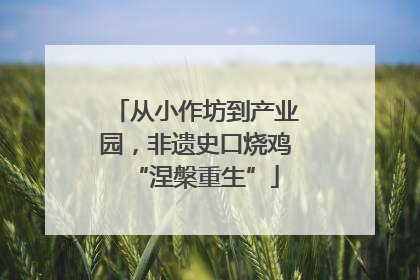 从小作坊到产业园，非遗史口烧鸡“涅槃重生”