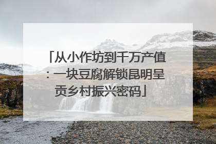 从小作坊到千万产值：一块豆腐解锁昆明呈贡乡村振兴密码