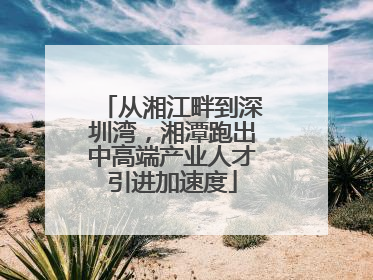 从湘江畔到深圳湾，湘潭跑出中高端产业人才引进加速度