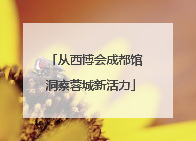 从西博会成都馆洞察蓉城新活力