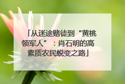 从迷途赌徒到“黄桃领军人”：肖石明的高素质农民蜕变之路